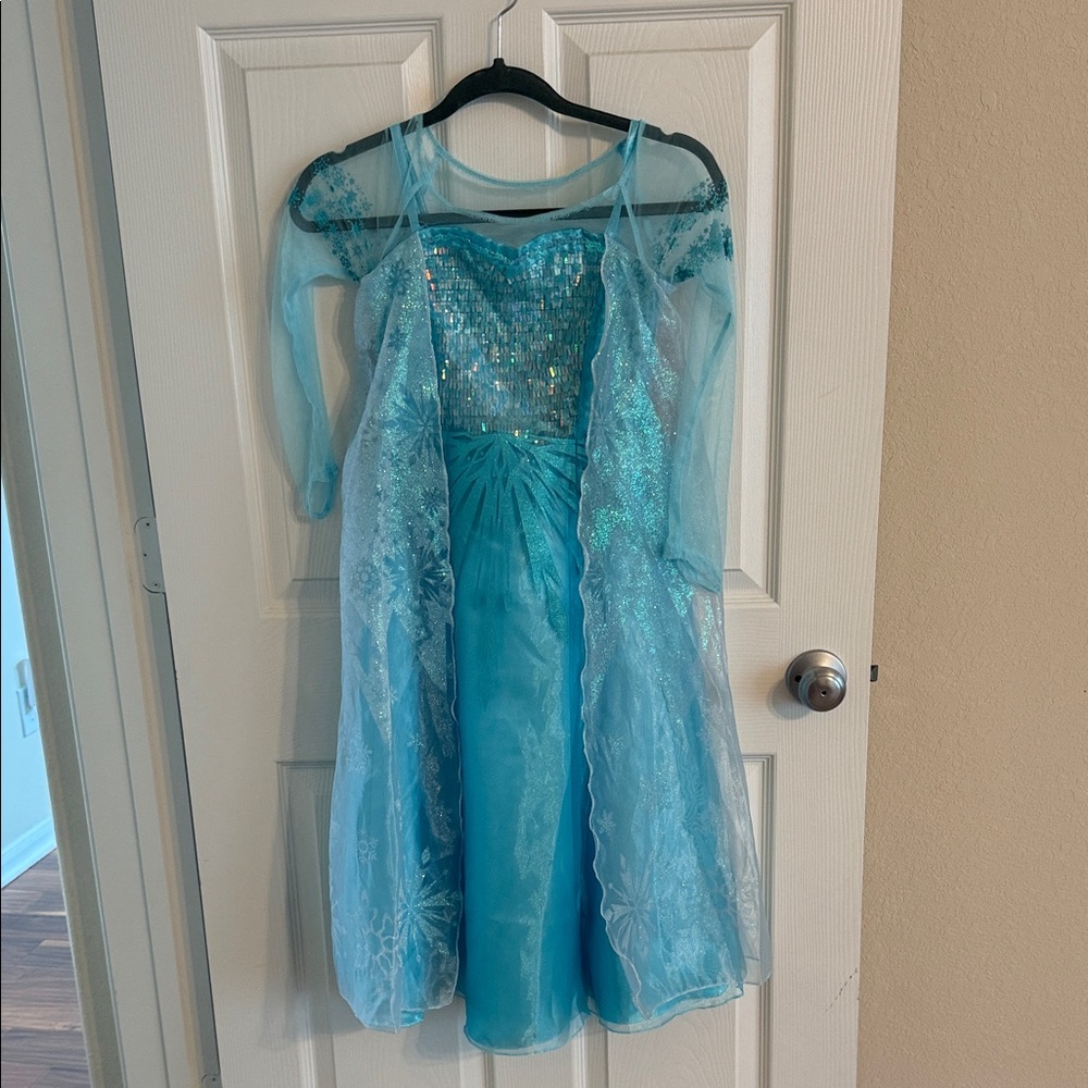 Kids Blue Princess Costume